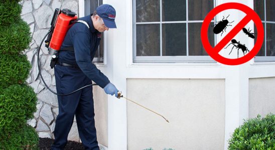 Haymana Dezenfeksiyon böcek ilaçlama ve haşere kontrolü — ilaclama-tr.com